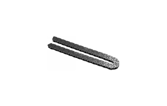 Timing Chain