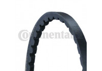 V-Belt AVX10X1290 Contitech