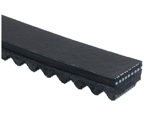 V-Belt B41MN Gates, Image 2