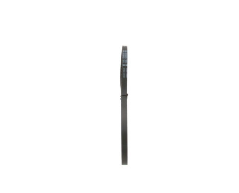 V-Belt, Image 4
