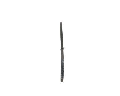 V-Belt, Image 4