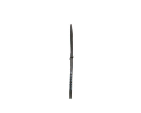 V-Belt, Image 4