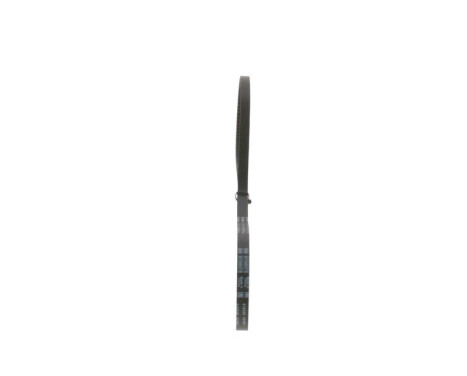 V-Belt, Image 2