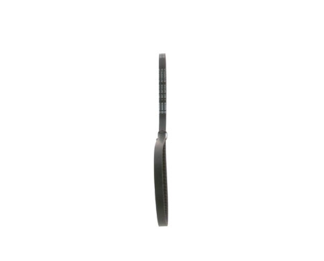 V-Belt, Image 4