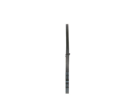 V-Belt, Image 4