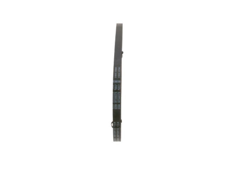 V-Belt, Image 4