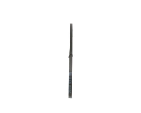 V-Belt, Image 4