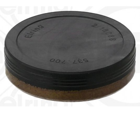 Locking Cover, camshaft