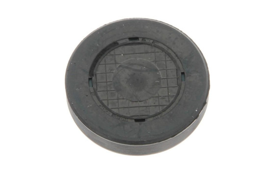 Plug, rocker arm shaft Mount bore