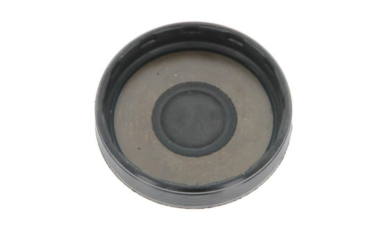 Plug, rocker arm shaft Mount bore, Image 2