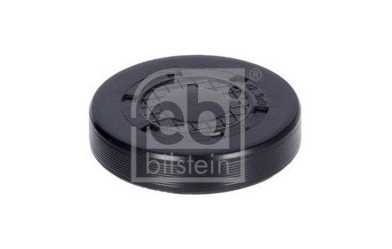 Plug, rocker arm shaft Mount bore, Image 2