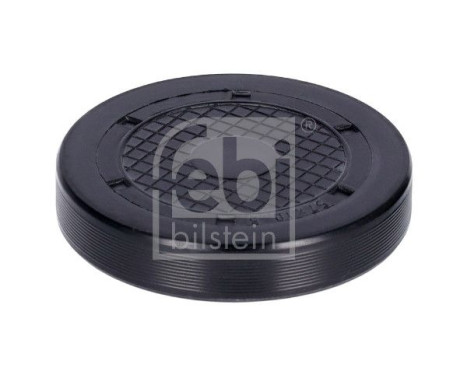 Plug, rocker arm shaft mounting bore, Image 2