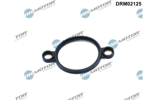 Seal, regulating element (eccentric shaft)