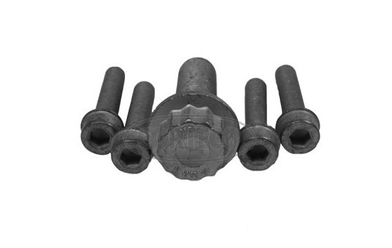 Bolt Set, crankshaft pulley