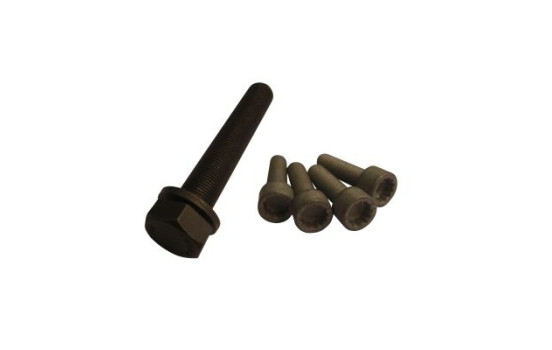 Bolt Set, crankshaft pulley