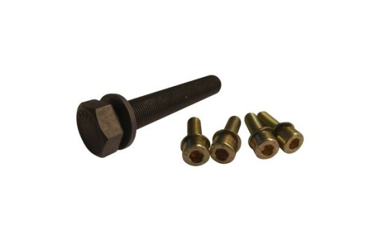 Bolt Set, crankshaft pulley