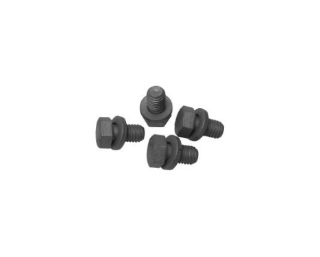 Bolt Set, crankshaft pulley