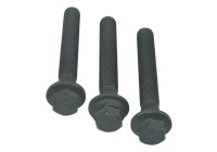 Bolt Set, crankshaft pulley