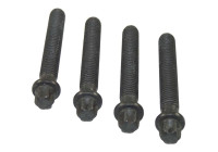 Bolt Set, crankshaft pulley
