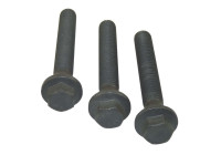 Bolt Set, crankshaft pulley