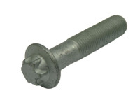 Bolt Set, crankshaft pulley