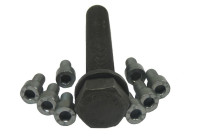 Bolt Set, crankshaft pulley