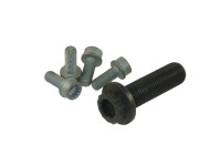 Bolt Set, crankshaft pulley