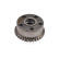 Camshaft Adjuster IPD