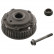 Camshaft Adjuster