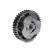 Camshaft Adjuster
