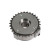 Camshaft regulator