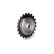 Gear, balance shaft