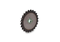 Gear, camshaft