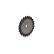 Gear, camshaft