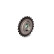 Gear, camshaft, Thumbnail 2