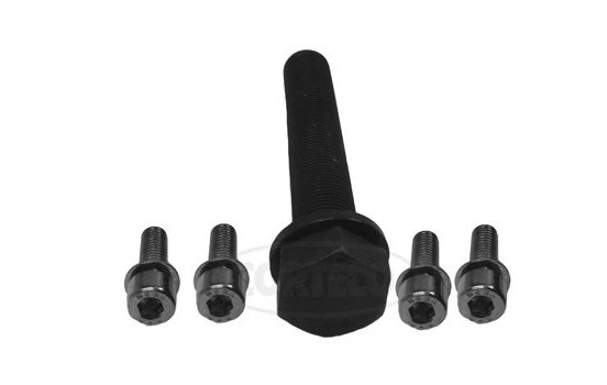 Set of screws for pulley camshaft