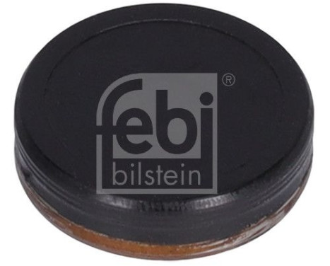 Locking Cover, camshaft, Image 2