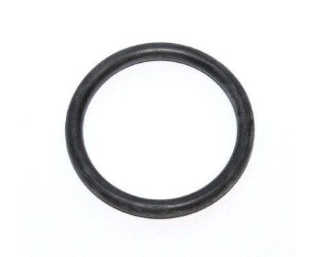 Sealing ring