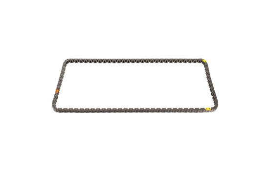 Timing Chain