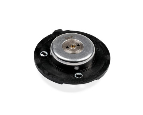 Central magnet, camshaft control