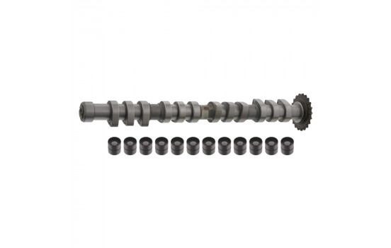 Camshaft Kit