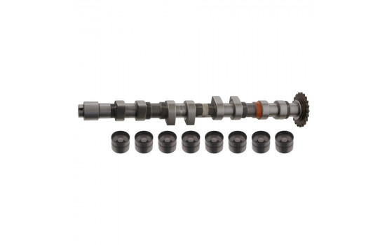 Camshaft Kit