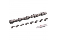 Camshaft Kit
