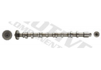 Camshaft