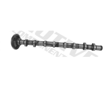 Camshaft, Image 3