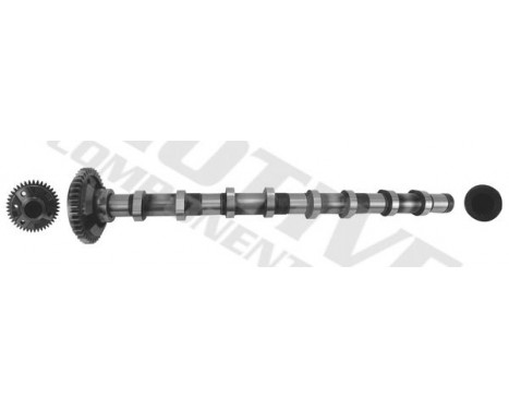 Camshaft, Image 4