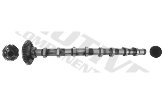 Camshaft, Image 4