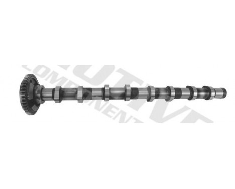 Camshaft, Image 5