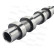 Camshaft, Thumbnail 3