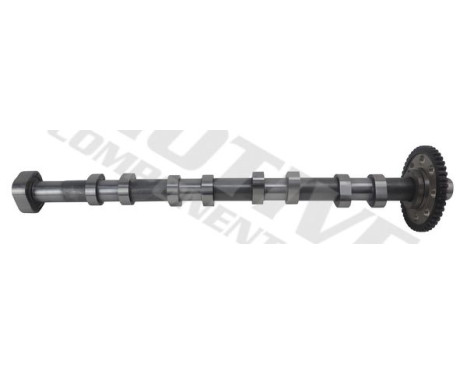 Camshaft, Image 4